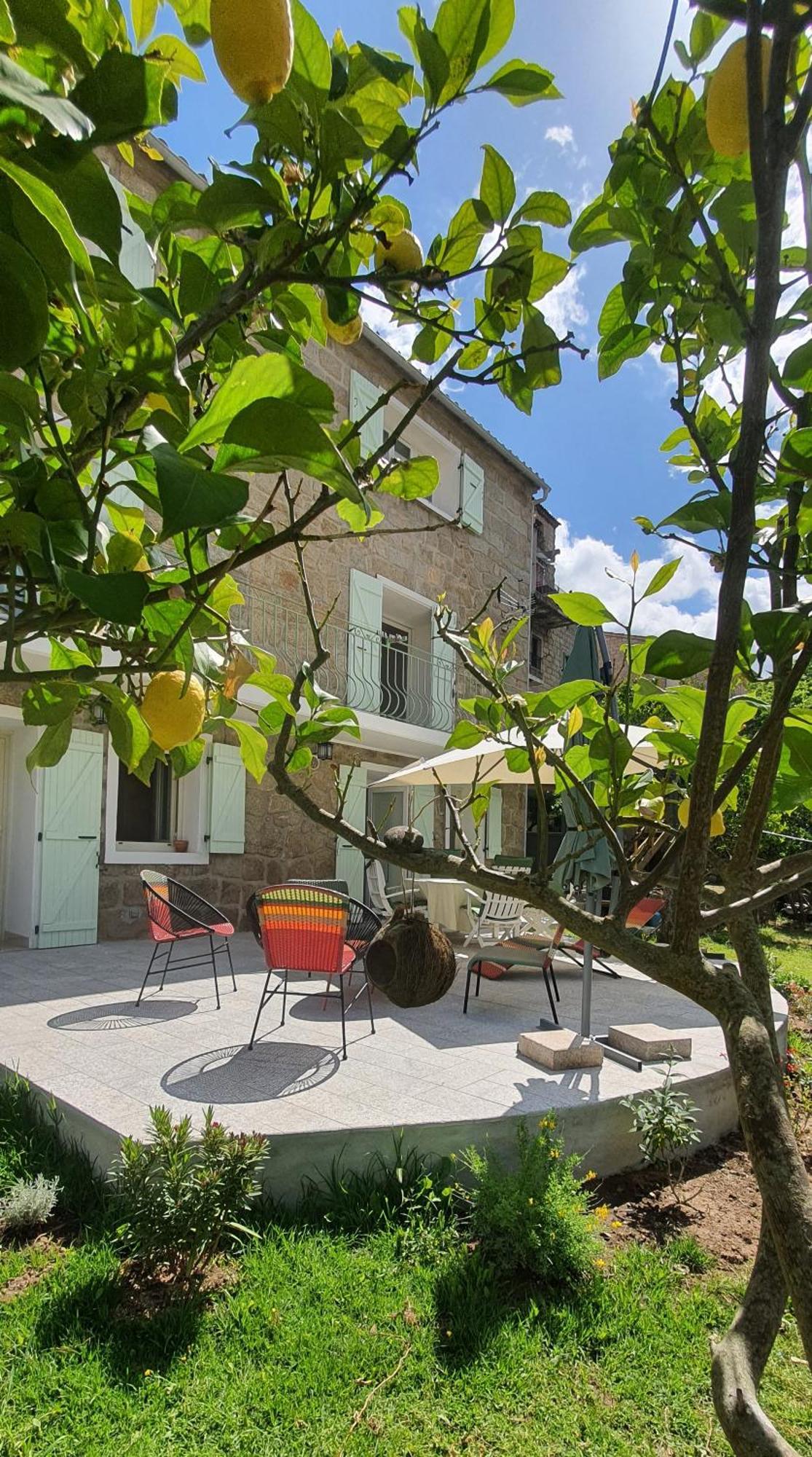 Charmant appartement en Rez de jardin Sartène Extérieur photo